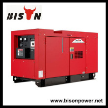 BISON (CHINA) Luftgekühlter Dieselmotor Silent 10 kw Diesel Generator